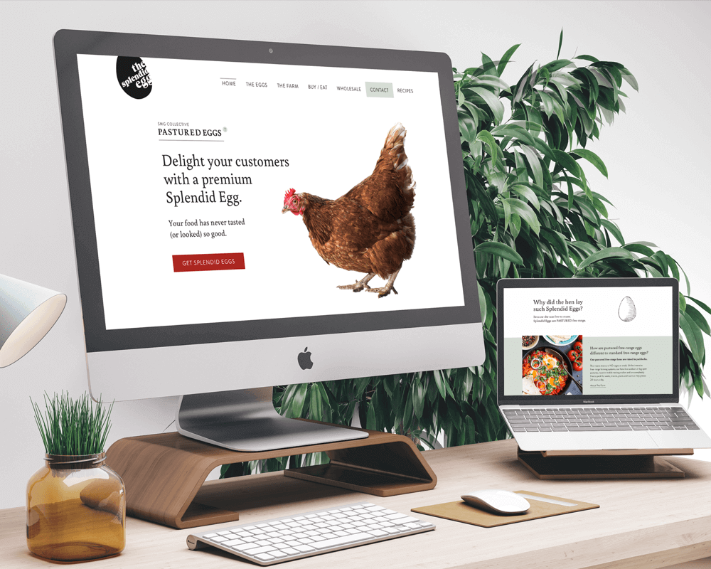 Mockup of Splendid Egg Website Design